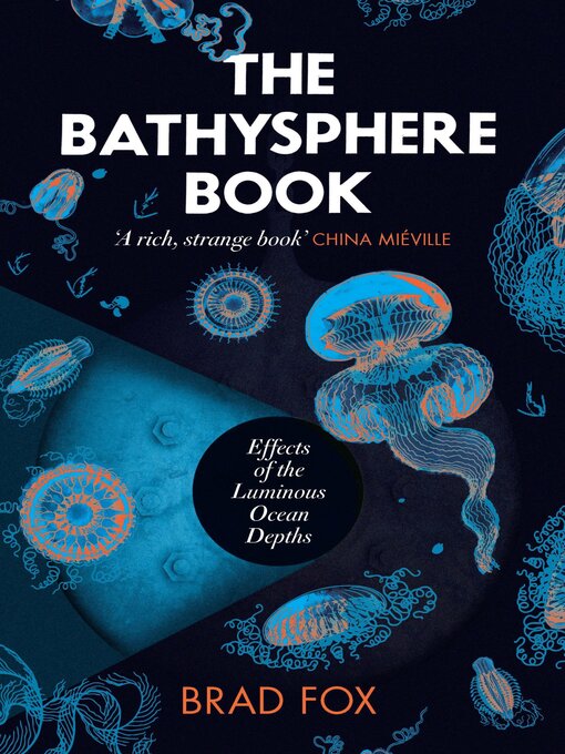 Cover of The Bathysphere Book